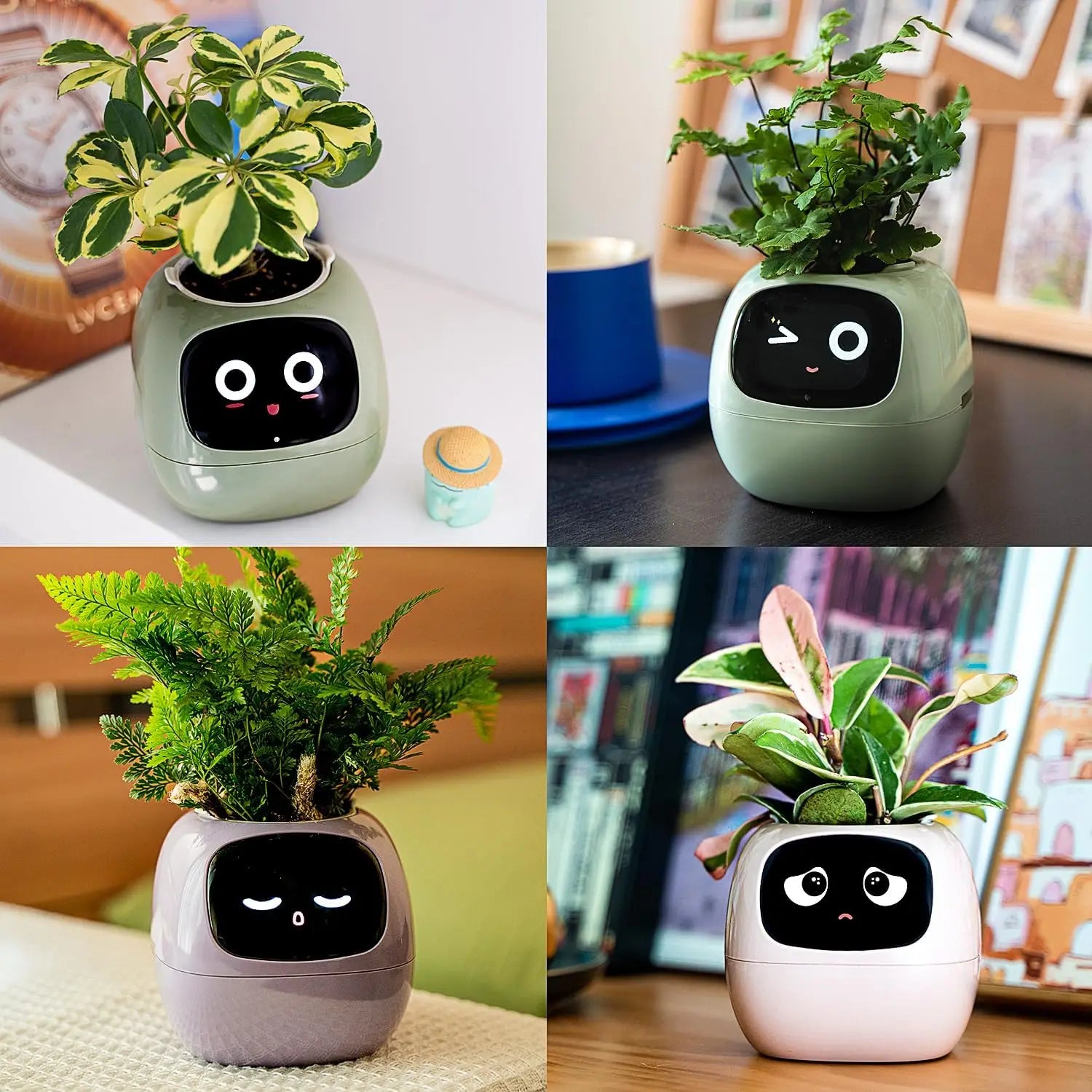 smart small flower pot
