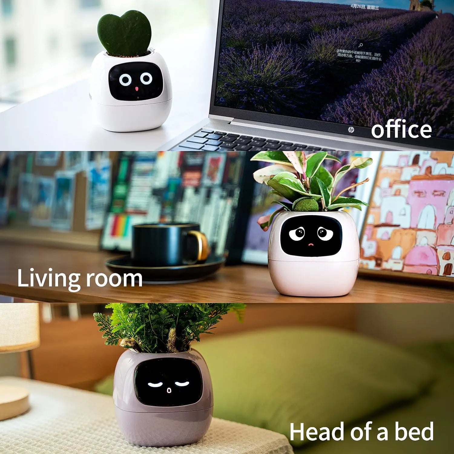 smart small flower pot